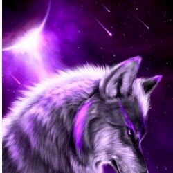 mysticalmoonwolf